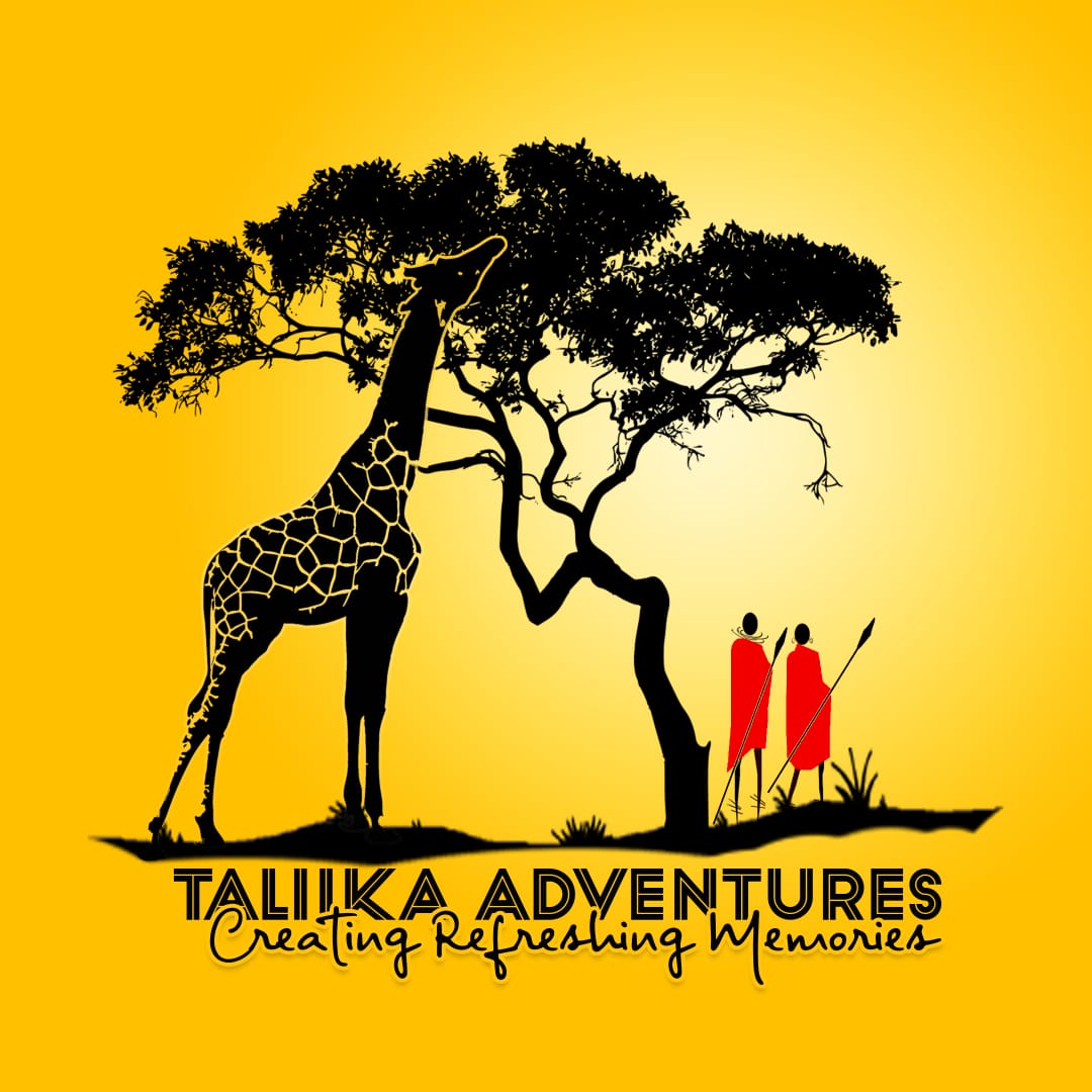 Taliika Adventures
